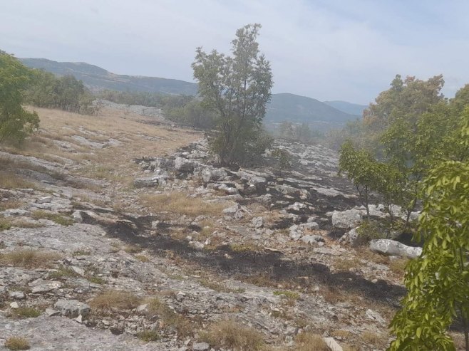 Bileća: Vatrogasci stavili pod kontrolu požar na području sela Korita (FOTO)