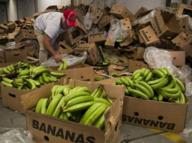 Kutije sa bananama u kojima je pronađen kokain (foto: ilustracija / EPA-EFE/ALVARO CABRERA) - 