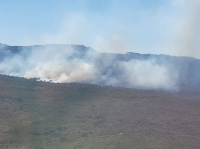 Bileća, požar - Foto: RTRS