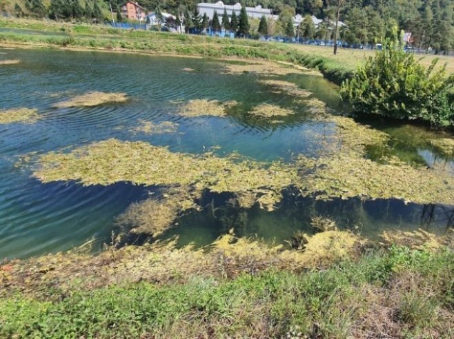 Bazeni Vodovoda a.d. Banjaluka - Foto: RTRS