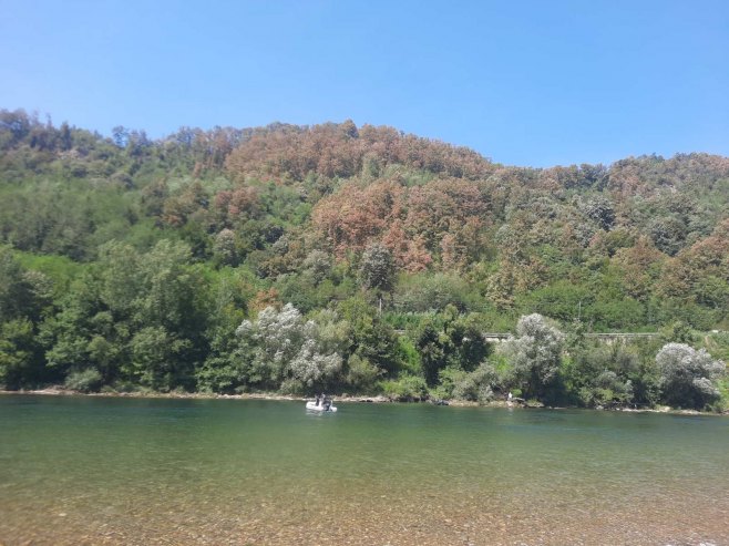 Drina - Foto: RTRS