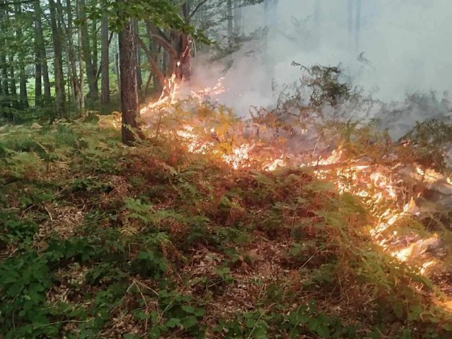 Vatrena stihija u NP "Drina"; Stanje loše, selo ugroženo (VIDEO)