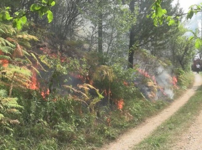 Požar u NP "Drina": Vatra se širi i približava kućama