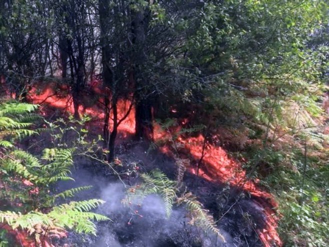 Vatrenu stihiju u NP "Drina" gasi helikopter MUP-a Srbije; Požar buknuo i na području Rudog (VIDEO)