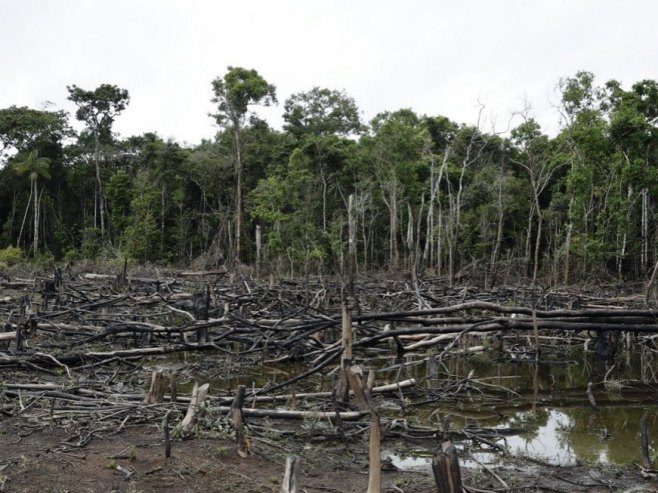 Amazonija (Foto: EPA/MAURICIO DUENAS CASTANEDA) - 