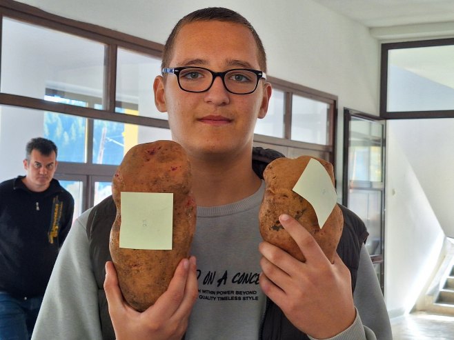 Glamoč: Najteži krompir u vlasništvu porodice Radumilo