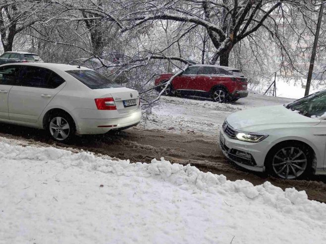 Kod Ekonomskog fakulteta u Banjaluci palo drvo, saobraćaj usporen