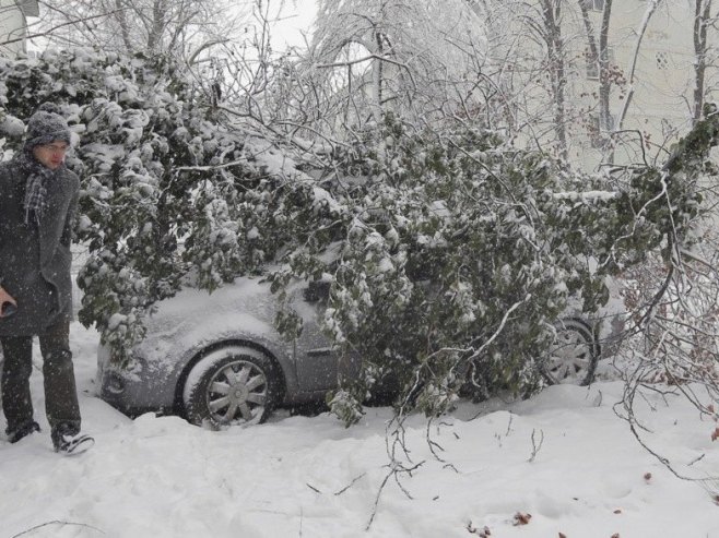 Drvo palo na pješaka u Banjaluci (VIDEO)