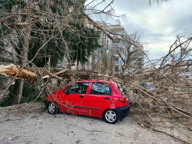 Na području Trebinja duva jaka bura; Stablo oštetilo tri automobila (FOTO)