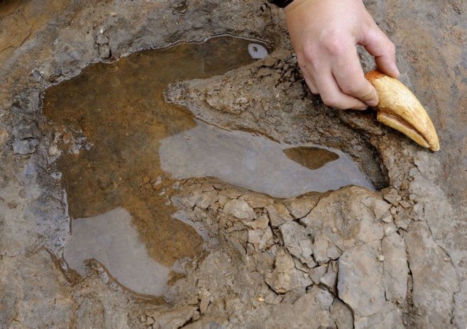 Otisak stopala dinosaurusa, ilustracija (Foto: EPA/HOLGER HOLLEMANN) - 