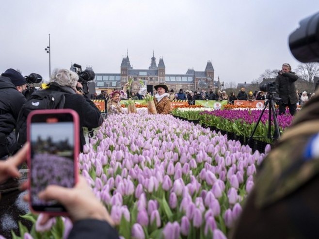 Vrt sa 200.000 lala (Foto: EPA/JEROEN JUMELET) - 