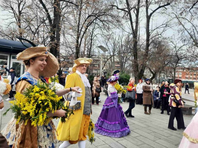 Dani mimoze u Banjaluci - Foto: RTRS