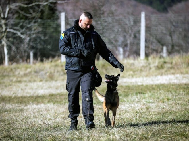 Službeni pas Granične policije BiH prvak na takmičenju (FOTO)