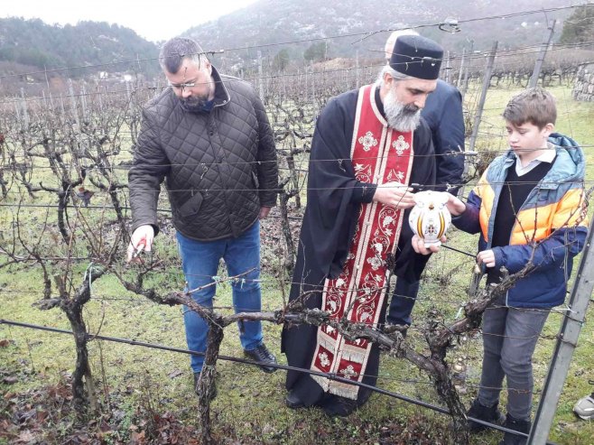 Sv. Trifun u Carskim vinogradima u Lastvi kod Trebinja - Foto: RTRS