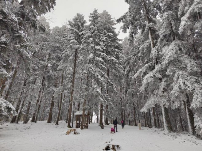 Kozara Mrakovica - Foto: RTRS