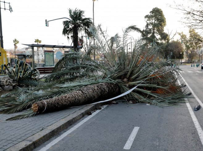 Posljedice jakih udara vjetra (Foto: EPA-EFE/JUAN CARLOS CARDENAS/ilustracija) - 