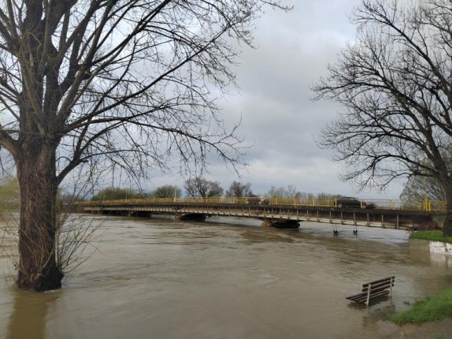 Sana stagnira, Gomjenica opada