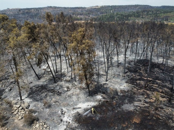 Požar u Izraelu (foto:EPA-EFE/ABIR SULTAN) - 