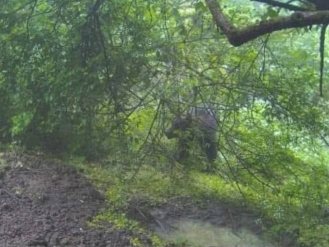 Medvjed snimljen na Banj brdu – građanima se preporučuje oprez