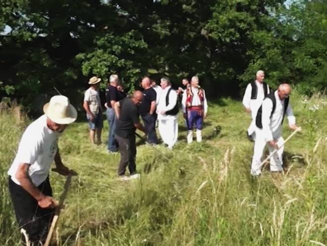 Tradicionalna kosidba u Knešpolju - Foto: RTRS