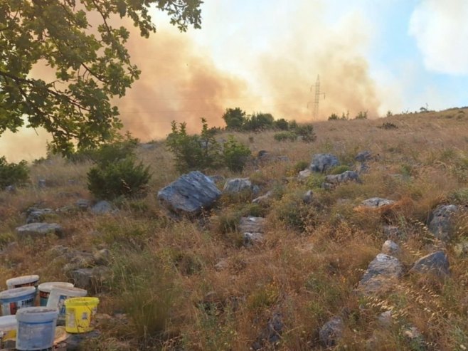 Požar na području Trebinja; Vjetar otežava gašenje  (VIDEO)