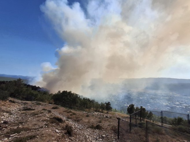 Požar kod Bileće zahvatio borovu šumu; Vatrogasci na terenu (FOTO)