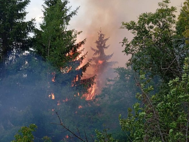 Požar u Rogatici Požar u Rogatici - Foto: RTRS