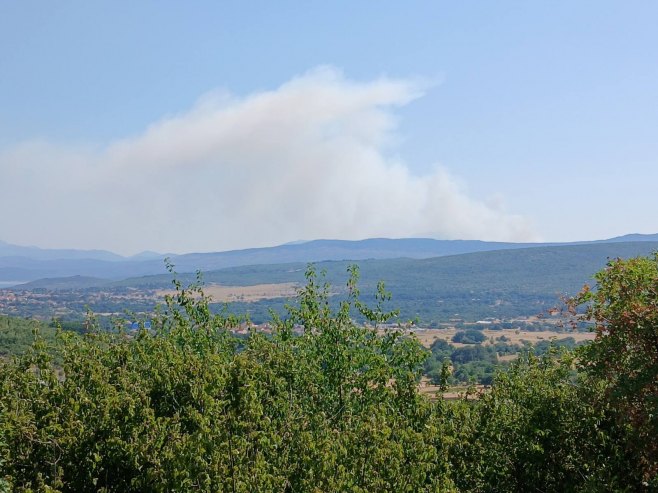 Požar nadomak Trebinja Požar nadomak Trebinja - Foto: RTRS