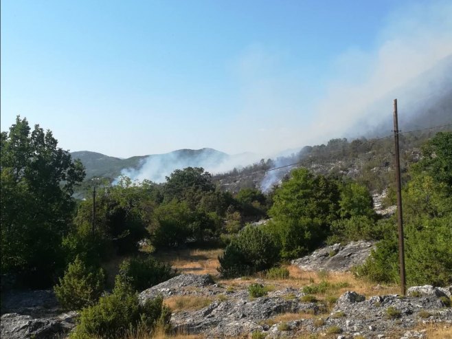 Vatra oko požarne linije u blizini Trebinja dugačka kilometar i po: Za sada nema opasnosti po kuće (FOTO/VIDEO)
