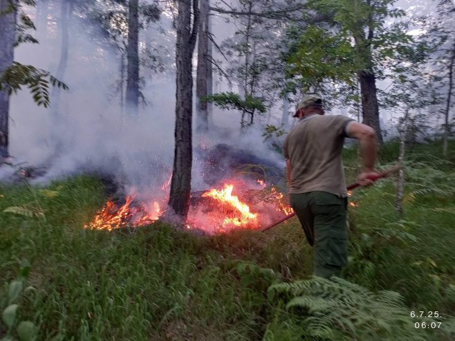 Izgorjelo 14 hektara šume na lokalitetu Katuništa kod Teslića (FOTO/VIDEO)