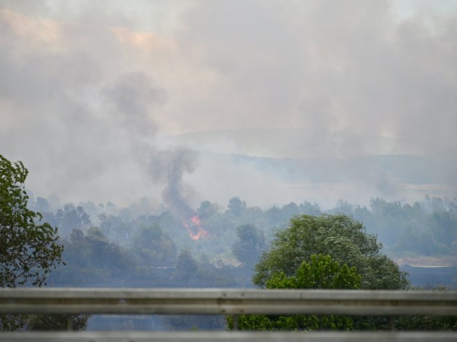Konjic: Vatra zahvatila borovu šumu, širi se velikom brzinom