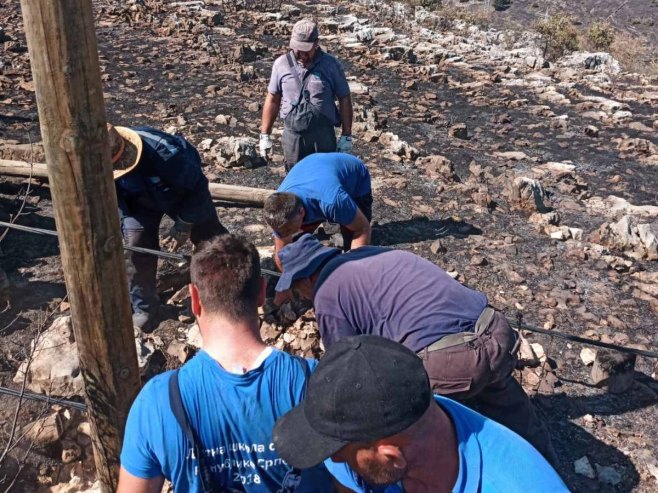 U požarima u okolini Trebinja izgorjelo na desetine stubova za električnu energiju, sela bez struje (FOTO)