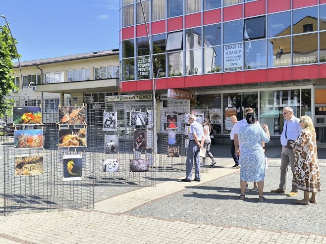 Otvorena izložba Foto-kluba "Krk"