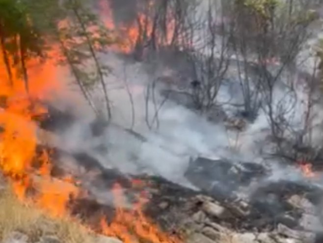 Vatrogasci u borbi sa vatrenom stihijom kod Trebinja (VIDEO)
