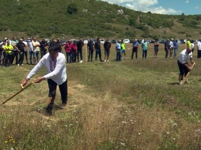 Od mobe do olimpijade - na Gvoznu u opštini Kalinovik održana tradicionalna kosidba (VIDEO)