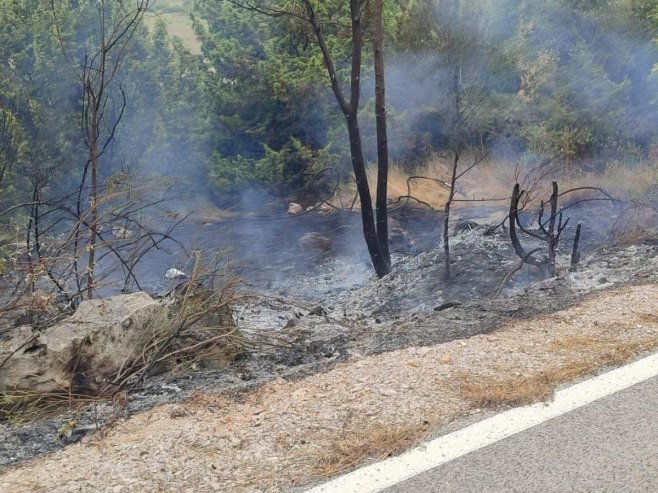 Požar u širem rejonu Korita kod Bileće; Izgorio jedan pomoćni objekat, vatrogasci na terenu