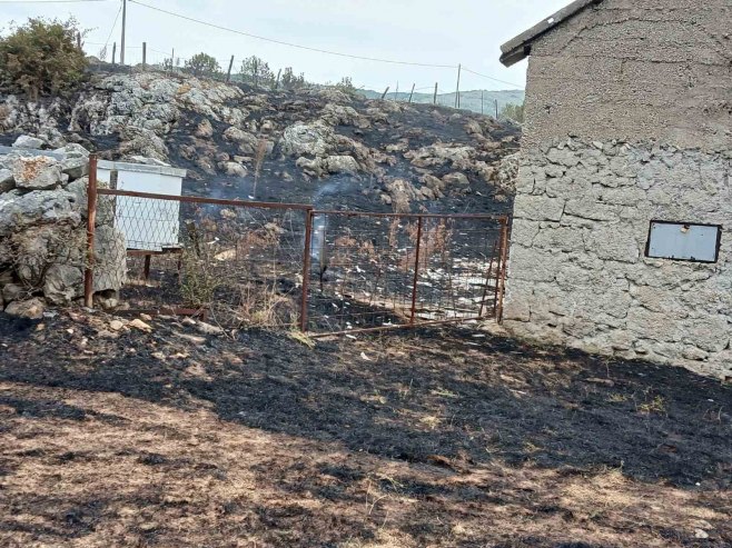 Ponovo gori u Hercegovini - visoka temperatura i jak vjetar rasplamsali požare, izgorjeli pomoćni objekti (FOTO/VIDEO)