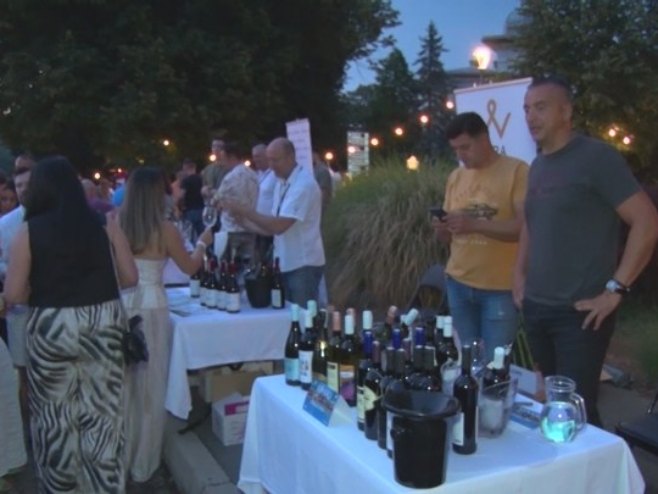 Gradiška: Vinski park okupio više od 40 izlagača (VIDEO)
