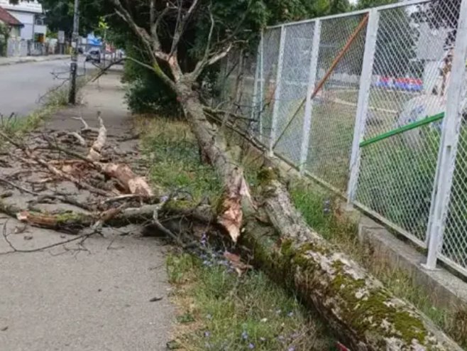 Palo drvo kod vrtića u Banjaluci dok je prolazila žena sa djetetom