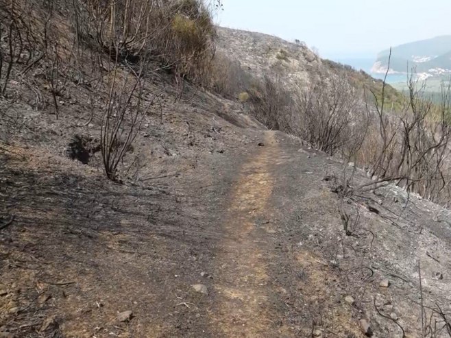 Povrijeđena dva vatrogasca, veliki požar u Kučima, Vlada otvara račun za pomoć građanima (VIDEO)