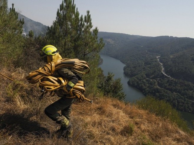 Španija, požari (Foto: EPA/Eliseo Trigo) Španija, požari (Foto: EPA/Eliseo Trigo) -