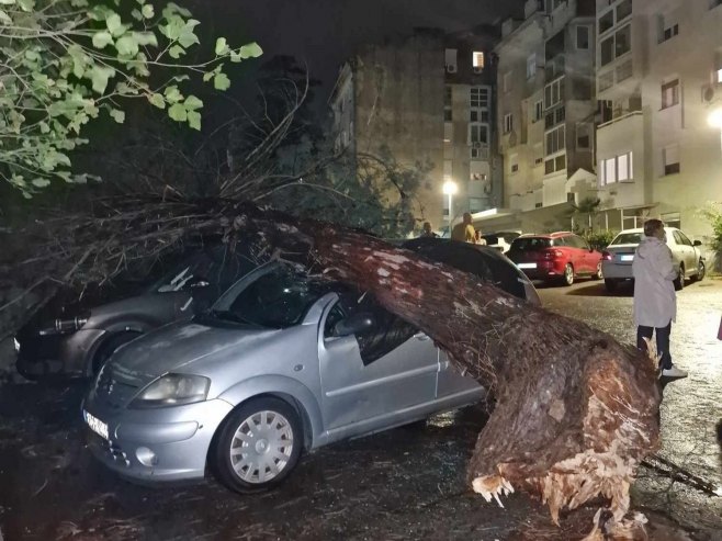 Mostar: Olujno nevrijeme čupalo drveće; Oštećeni automobili (VIDEO)