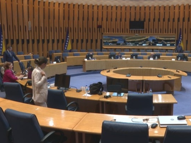 Kovačević evropskim parlamentarcima: Odluka Šmita koju ste vi iz EU podržali zaustavila evropski put BiH