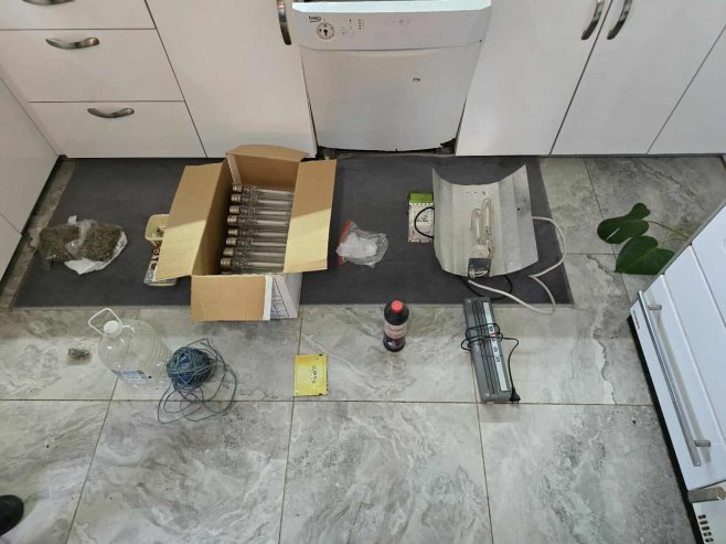 U akciji "Plantaža 2025" pronađene 33 stabljike indijske konoplje i opojna droga (FOTO)