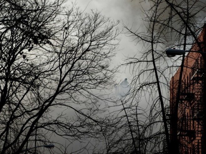 NjUЈORK ( FOTO: EPA/JUSTIN LANE) - 