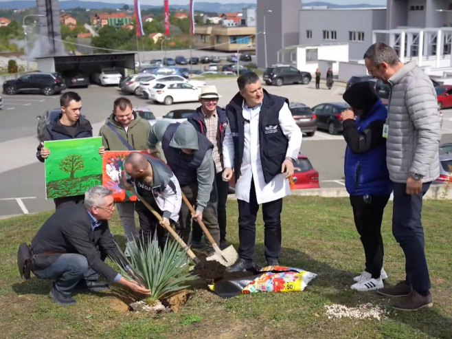 Posađeno drvo života ispred UKC-a (VIDEO)