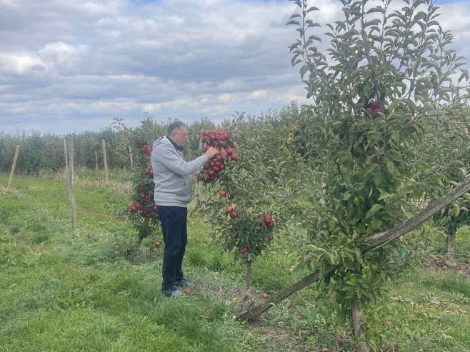 Predsjednik Dodik obišao voćnjak: Ova godina nije bila dobra za voćare u  Srpskoj (VIDEO)