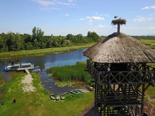 Sunčano i toplo, maksimalna temperatura do 20 stepeni