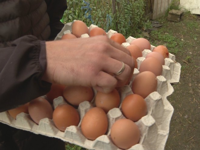 Salmonela u jajima: Povlačenje iz prodaje u sedam država, uključujući i Hrvatsku