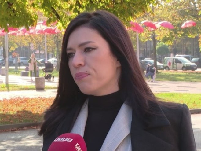 Vulić za RTRS: Savjet ministara jedini nadležan za imenovanje pregovarača sa EU (VIDEO)